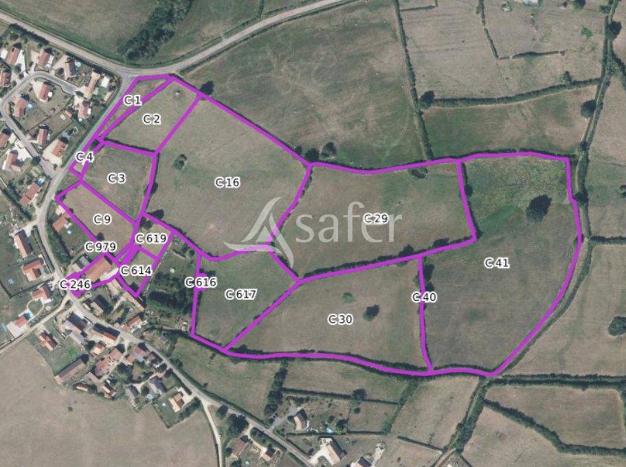 Landbouw bedrijf Koop Sa&ocirc;ne-et-Loire