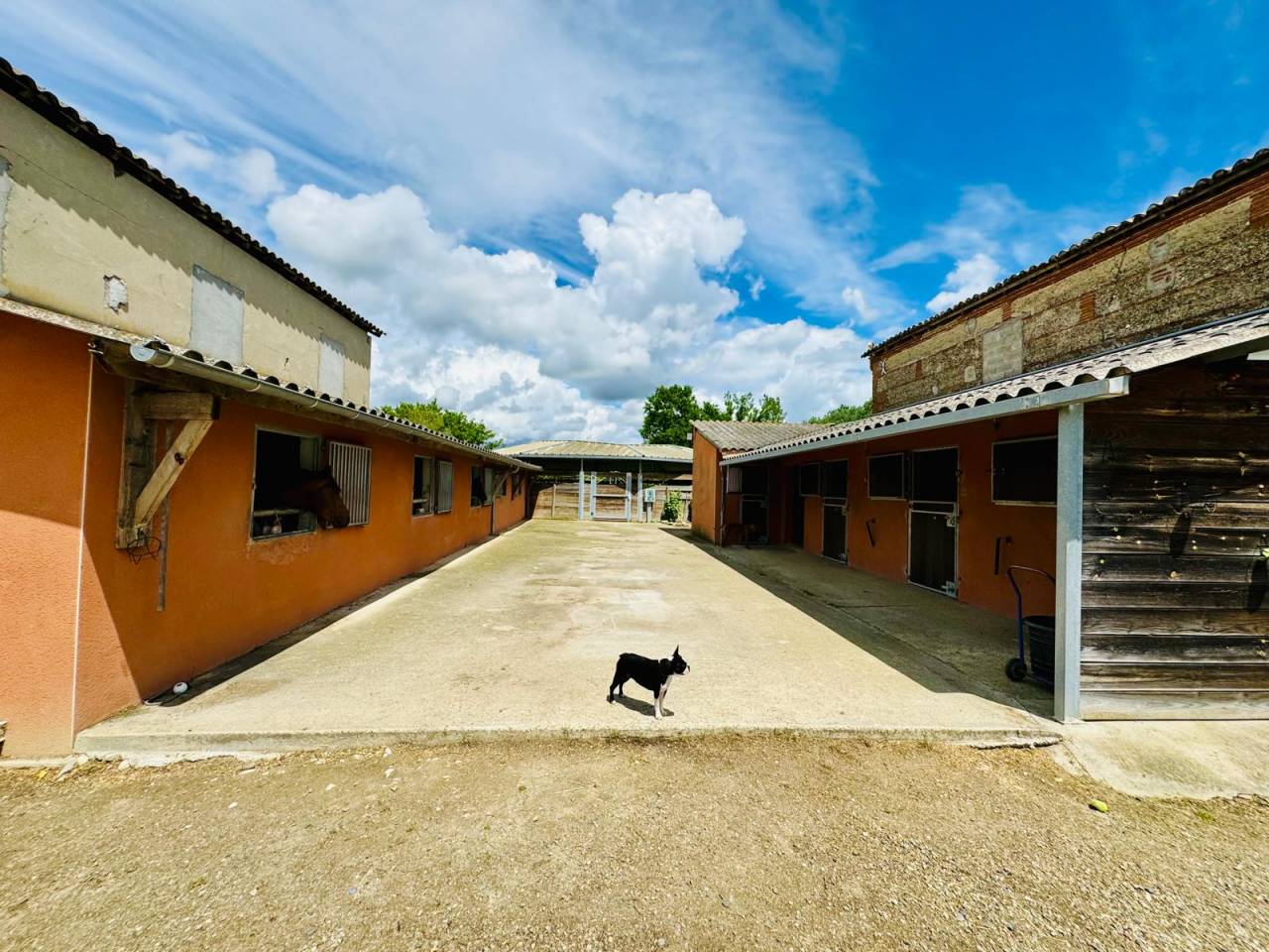 Hippisch vastgoed Koop Tarn-et-Garonne