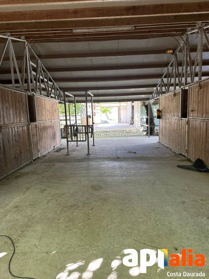 Hippisch vastgoed Huur Tarragone