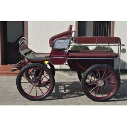 Rijtuigen - Marathon vrijetijd Dominiak  