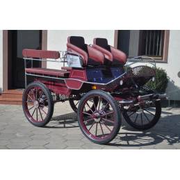 Rijtuigen - Marathon vrijetijd Dominiak  