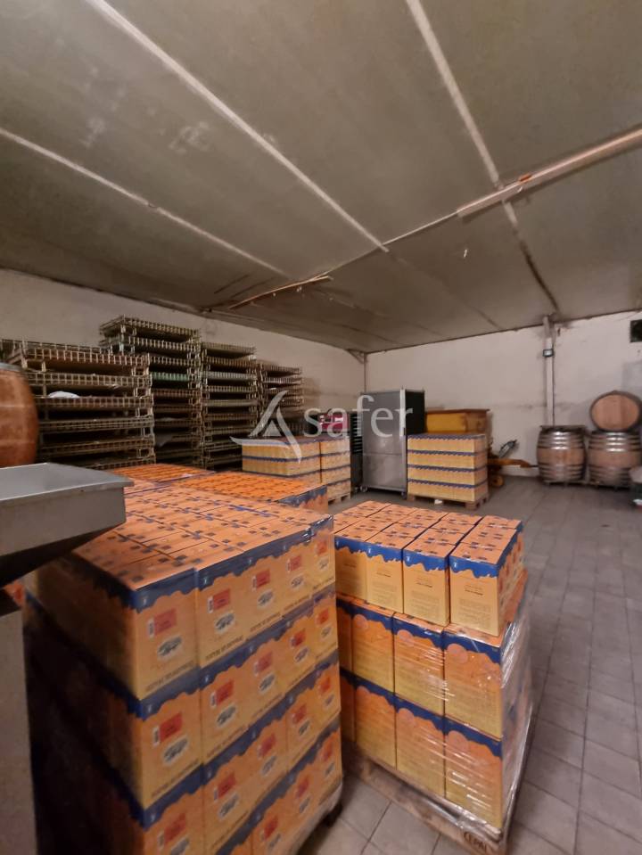 Graan exploitatie Koop tarn