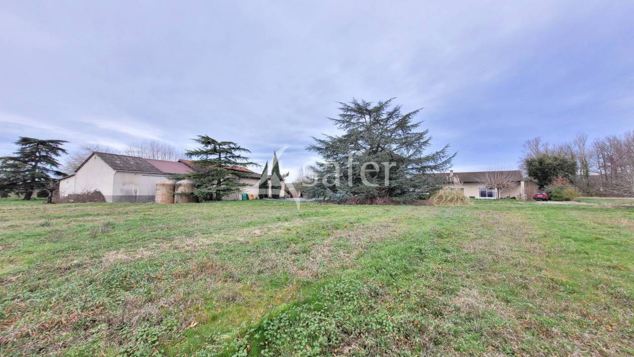 Graan exploitatie Koop tarn