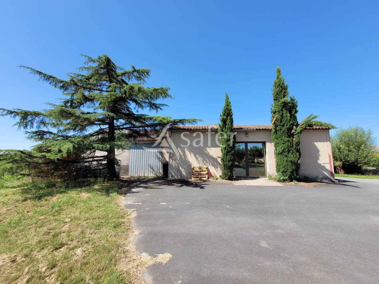 Graan exploitatie Koop tarn