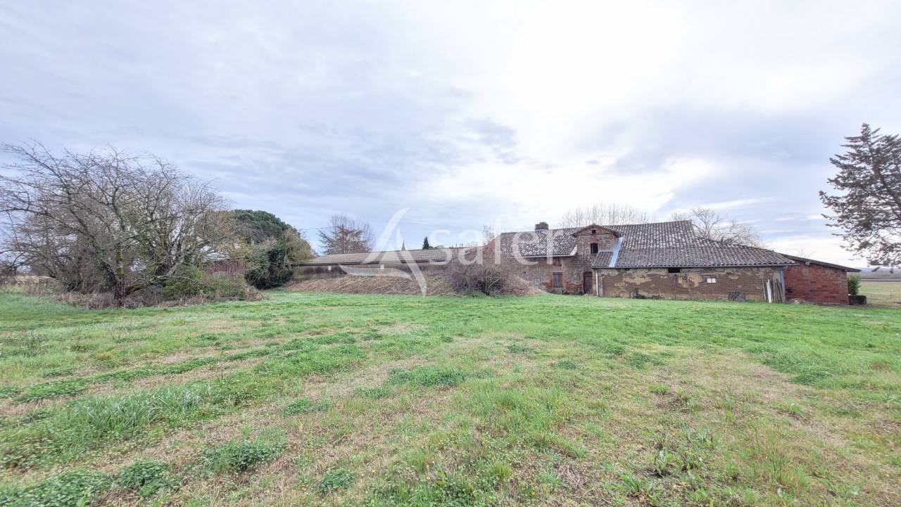 Graan exploitatie Koop tarn