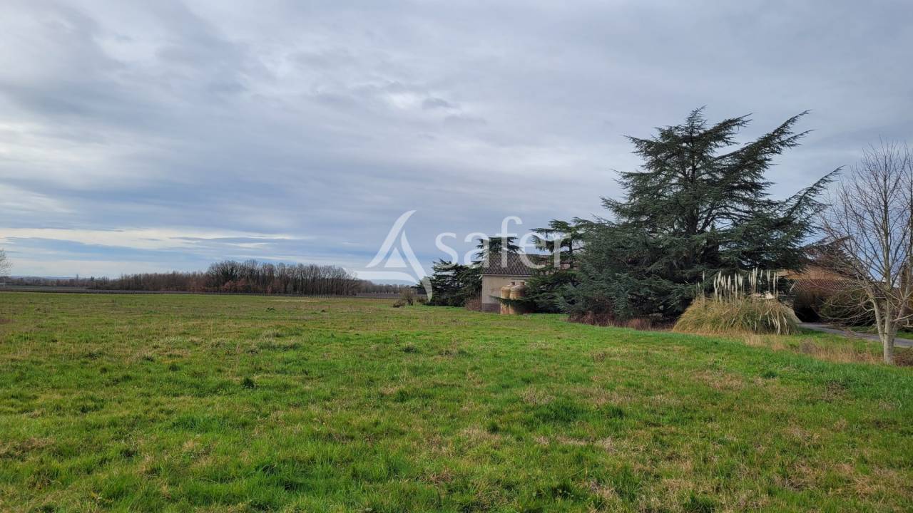 Graan exploitatie Koop tarn