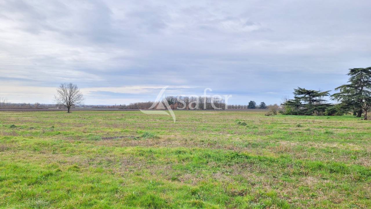 Graan exploitatie Koop tarn