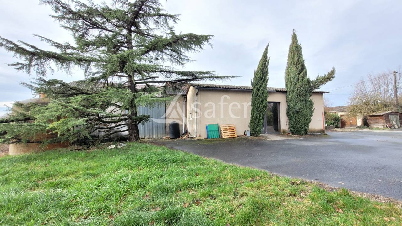 Graan exploitatie Koop tarn