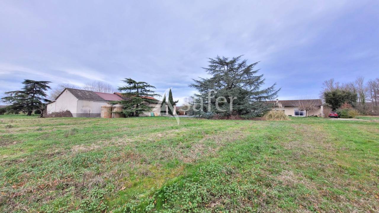 Graan exploitatie Koop tarn