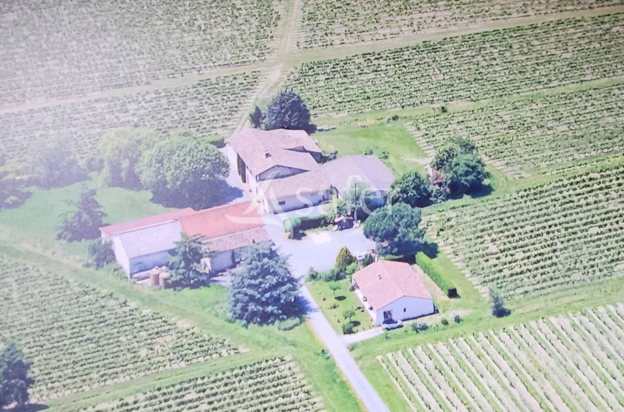 Graan exploitatie Koop tarn