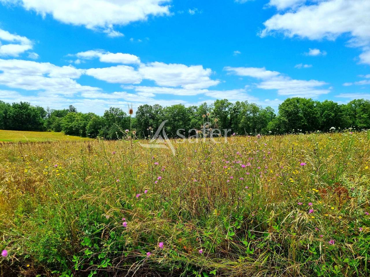 Landbouw bedrijf Koop Tarn-et-Garonne