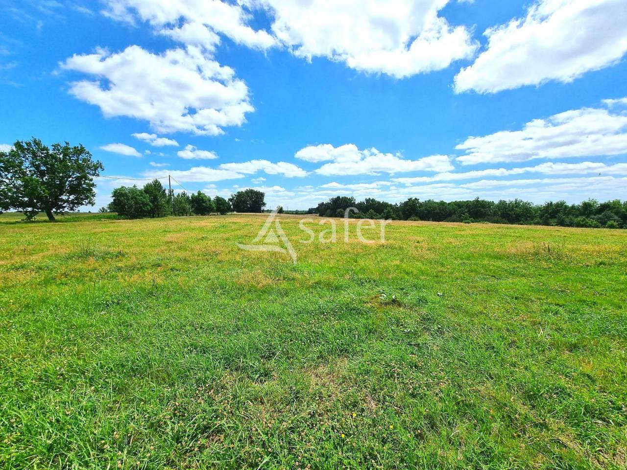 Landbouw bedrijf Koop Tarn-et-Garonne