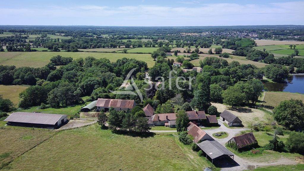 Schapen exploitatie Koop Haute-Vienne