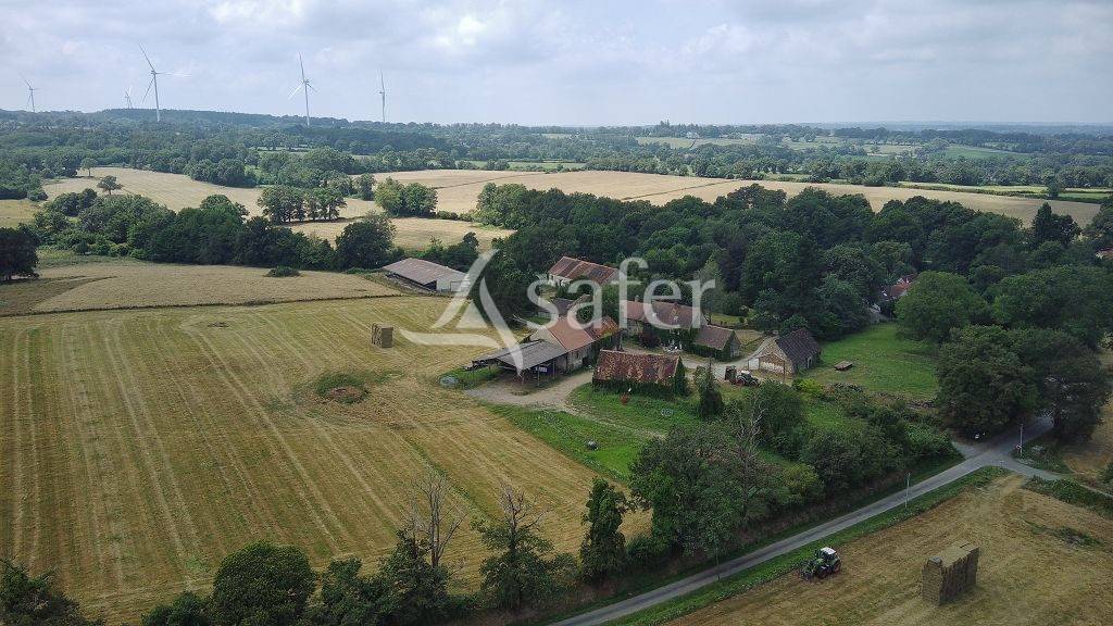 Schapen exploitatie Koop Haute-Vienne