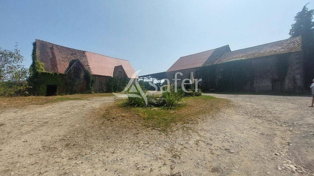 Schapen exploitatie Koop Haute-Vienne