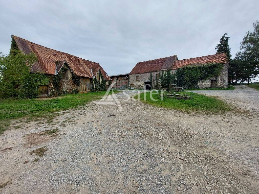 Schapen exploitatie Koop Haute-Vienne