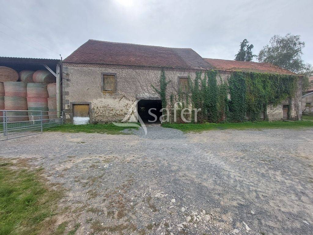 Schapen exploitatie Koop Haute-Vienne