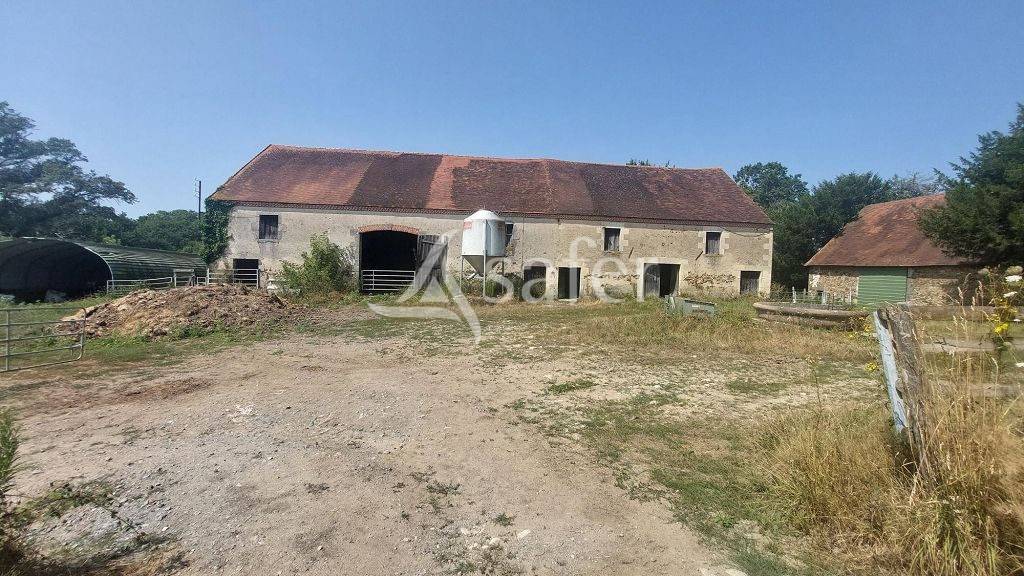 Schapen exploitatie Koop Haute-Vienne