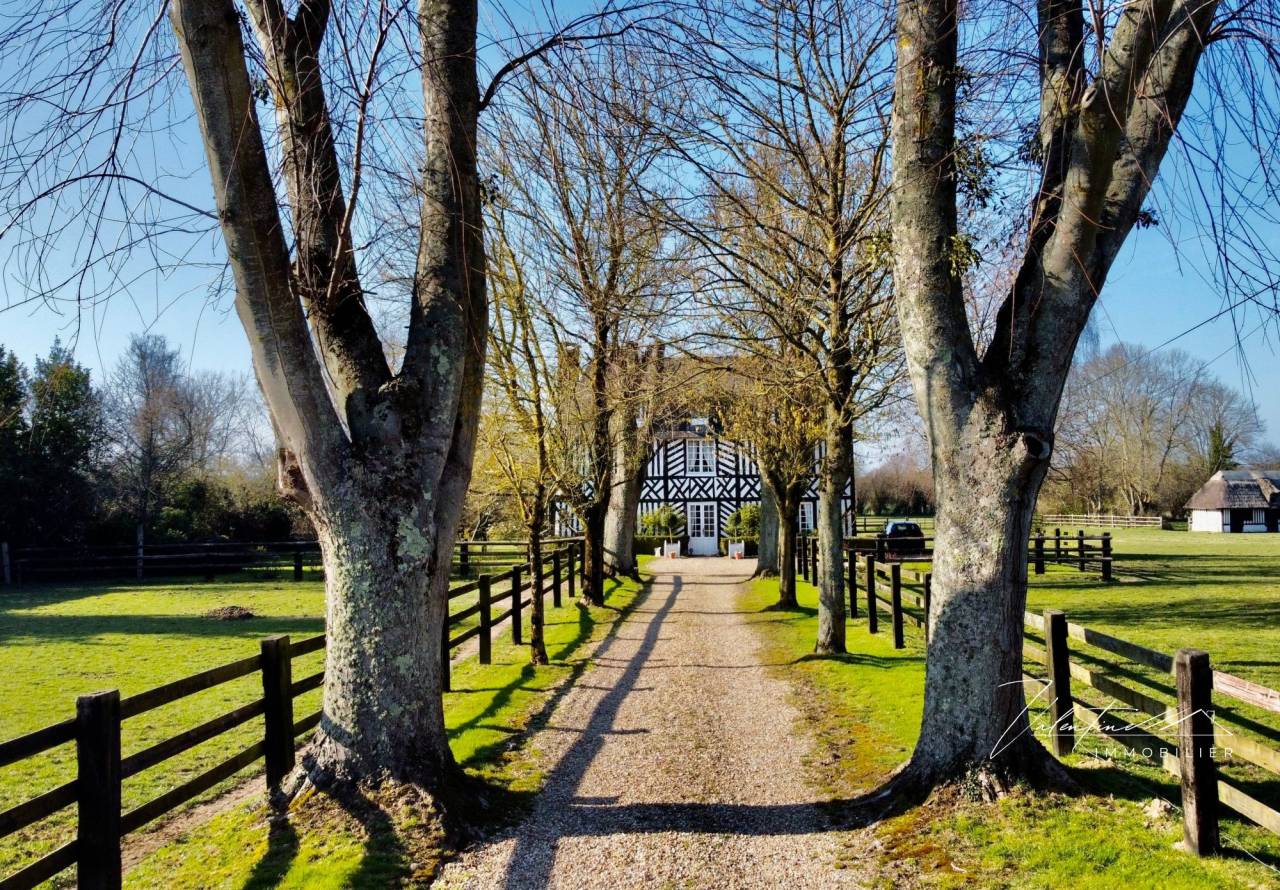 Hippisch vastgoed Koop 
