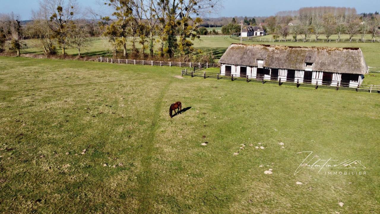 Hippisch vastgoed Koop 