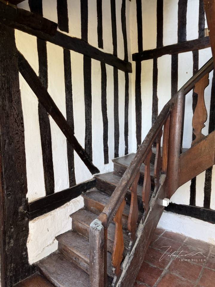 Hippisch vastgoed Koop 