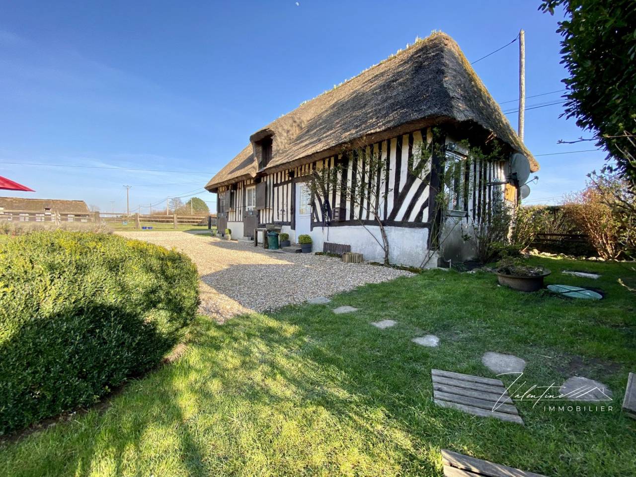 Hippisch vastgoed Koop 