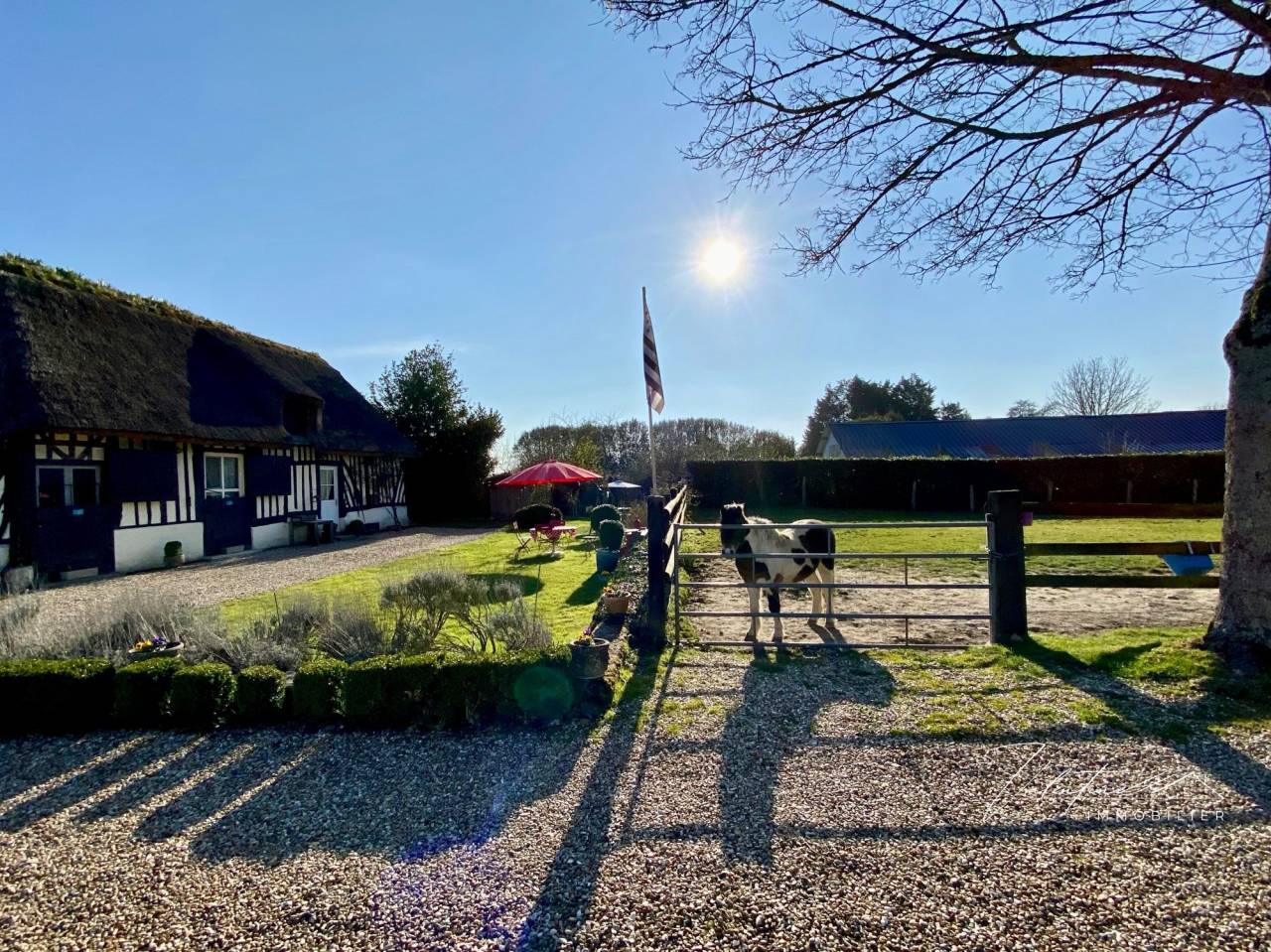Hippisch vastgoed Koop 