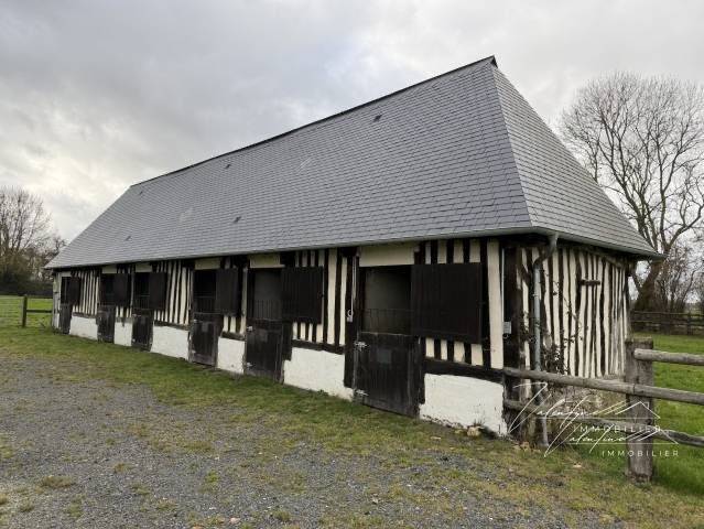 Hippisch vastgoed Koop 