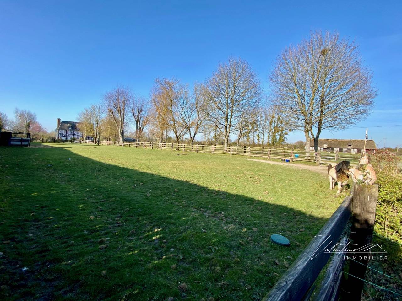 Hippisch vastgoed Koop 