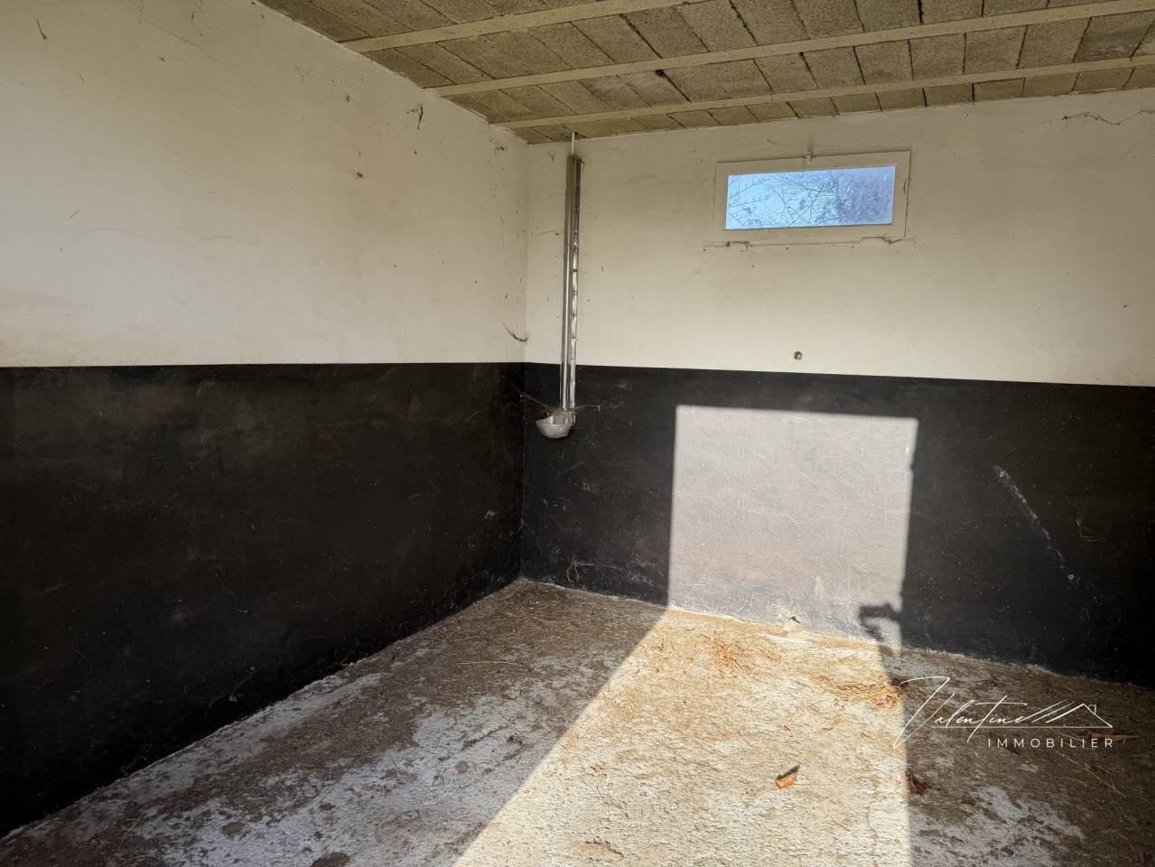 Hippisch vastgoed Koop 