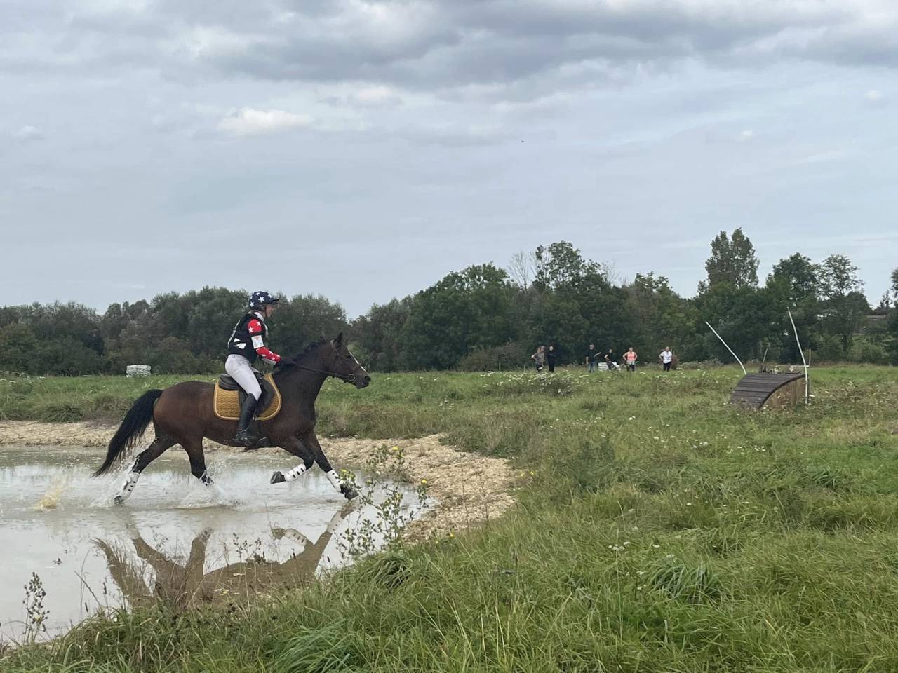 Merrie Franse rijpony PFS Te koop 2019 Donker bruin / bai ,  Vertigo de Ch&acirc;telain