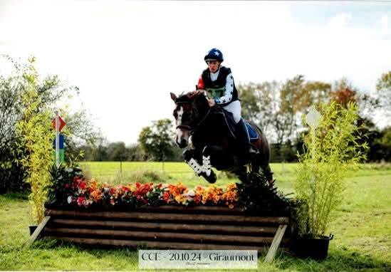 Merrie Franse rijpony PFS Te koop 2019 Donker bruin / bai ,  Vertigo de Ch&acirc;telain