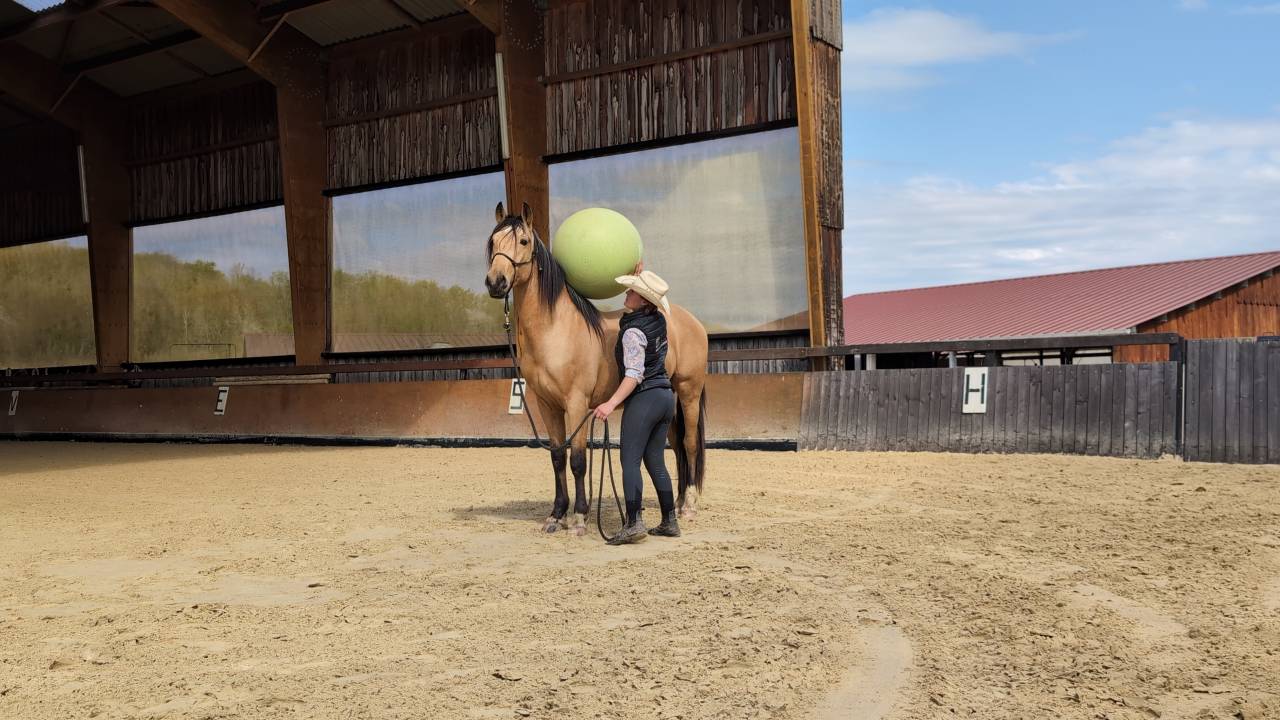 Ruin PRE Puur Ras Spaans Te koop 2021 Isabel