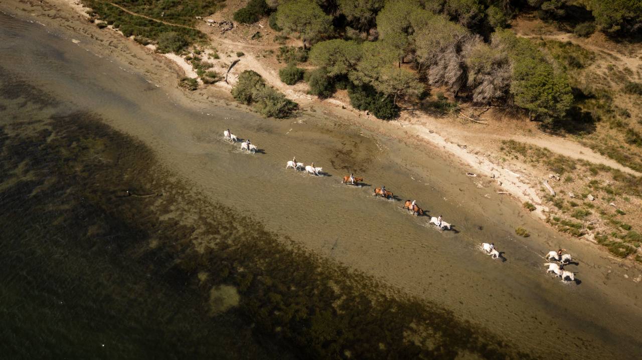 Winkel vastgoed Koop Bouches-du-Rh&ocirc;ne