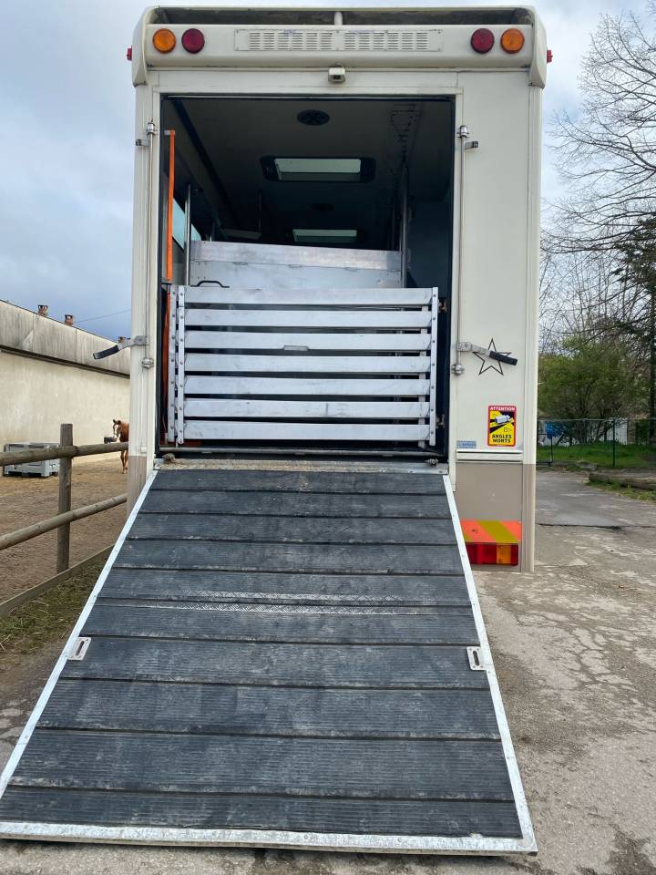 Zware paardenvrachtwagen (groot rijbewijs) Iveco Cursor 2000 Tweedehands