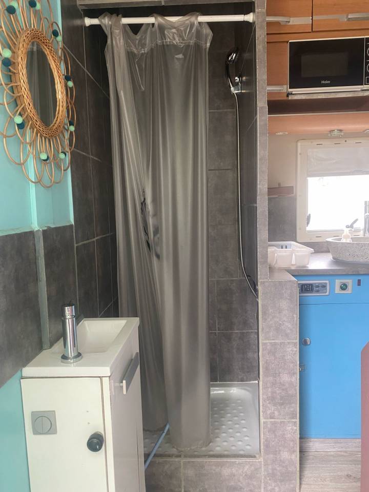 Zware paardenvrachtwagen (groot rijbewijs) Iveco Cursor 2000 Tweedehands