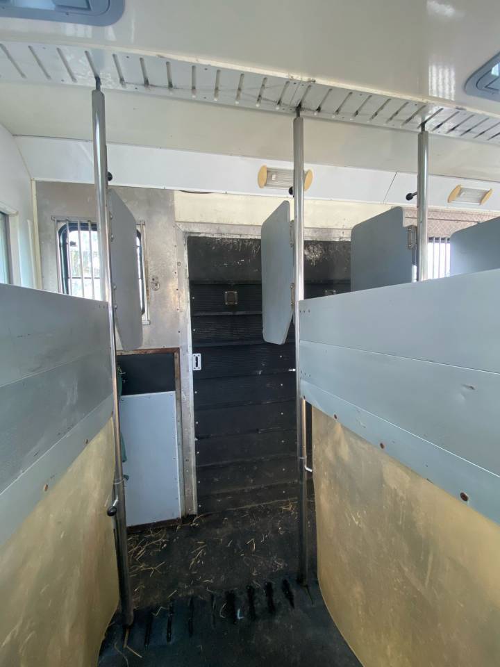 Zware paardenvrachtwagen (groot rijbewijs) Iveco Cursor 2000 Tweedehands