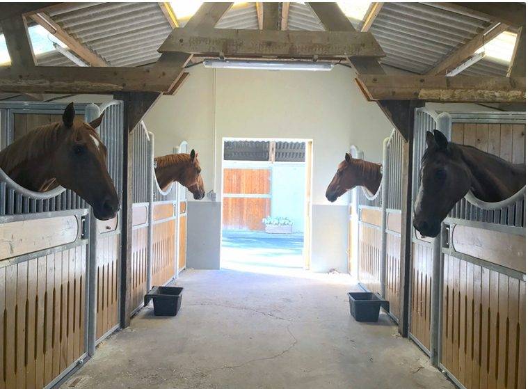 Hippisch vastgoed Koop Calvados