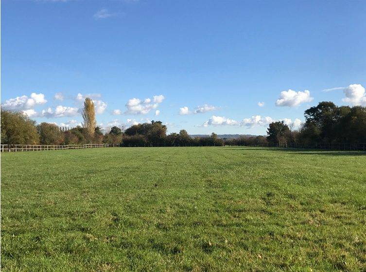 Hippisch vastgoed Koop Calvados