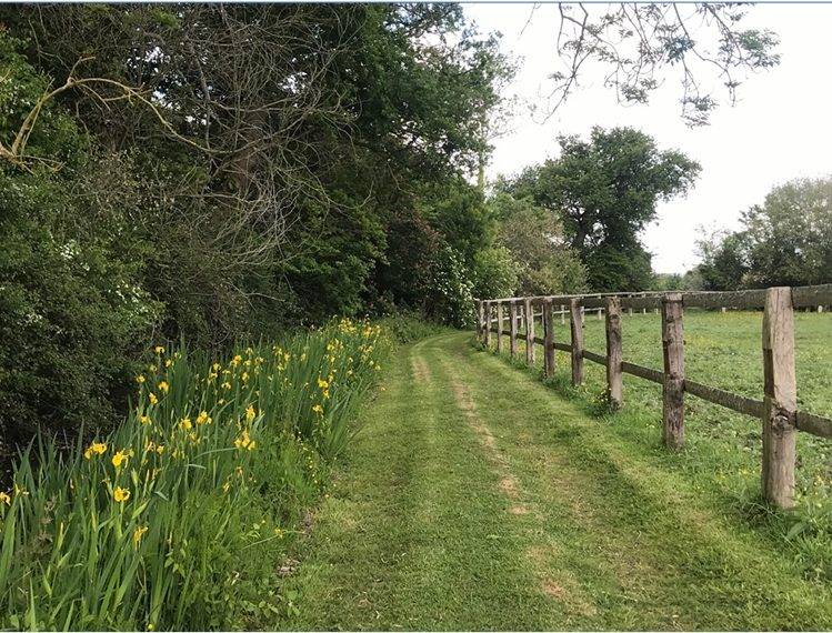 Hippisch vastgoed Koop Calvados