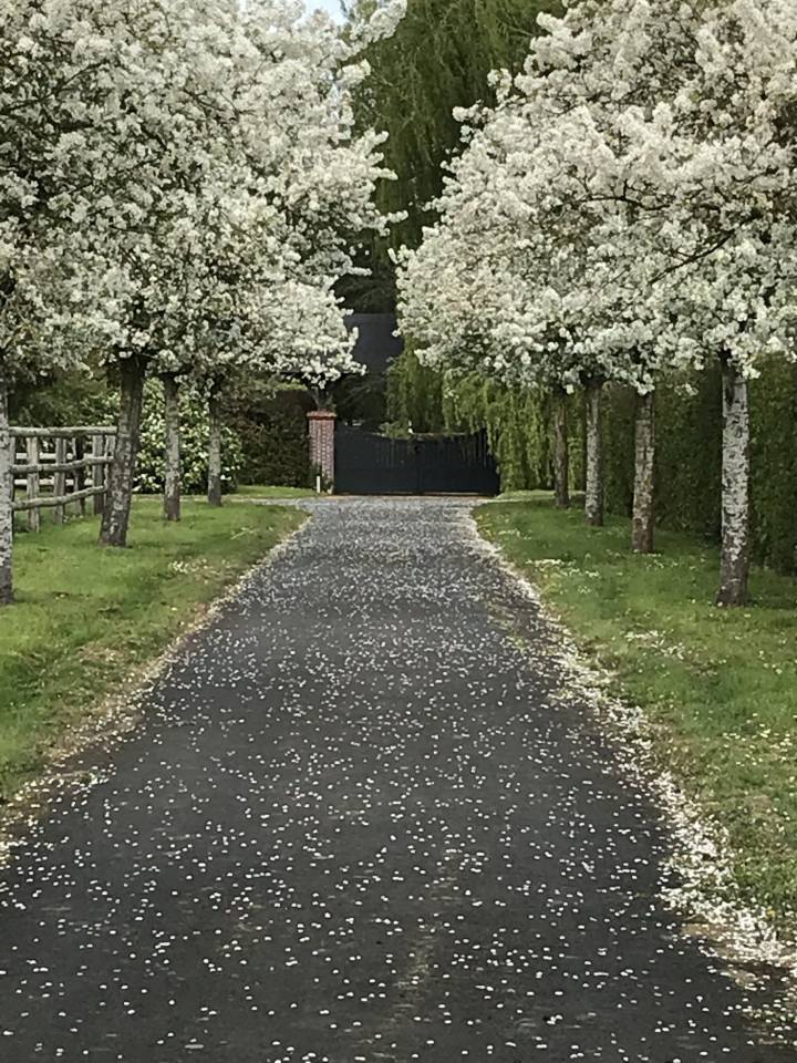 Hippisch vastgoed Koop Calvados
