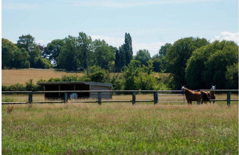 Hippisch vastgoed Koop Calvados