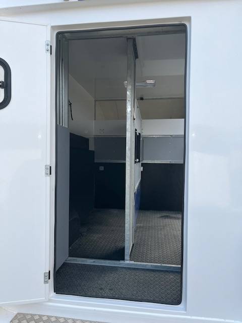 Kleine paardenvrachtwagen (B rijbewijs) AP Petit Master 2023 2023 Tweedehands