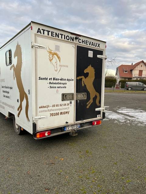 Kleine paardenvrachtwagen (B rijbewijs) Renault Master  2018 Tweedehands