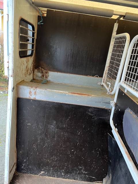 Kleine paardenvrachtwagen (B rijbewijs) Renault Master  2018 Tweedehands