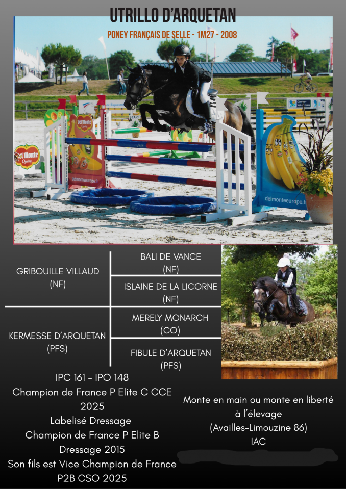 Utrillo d'Arquetan - Franse rijpony PFS 2008 ,  Gribouille Villaud