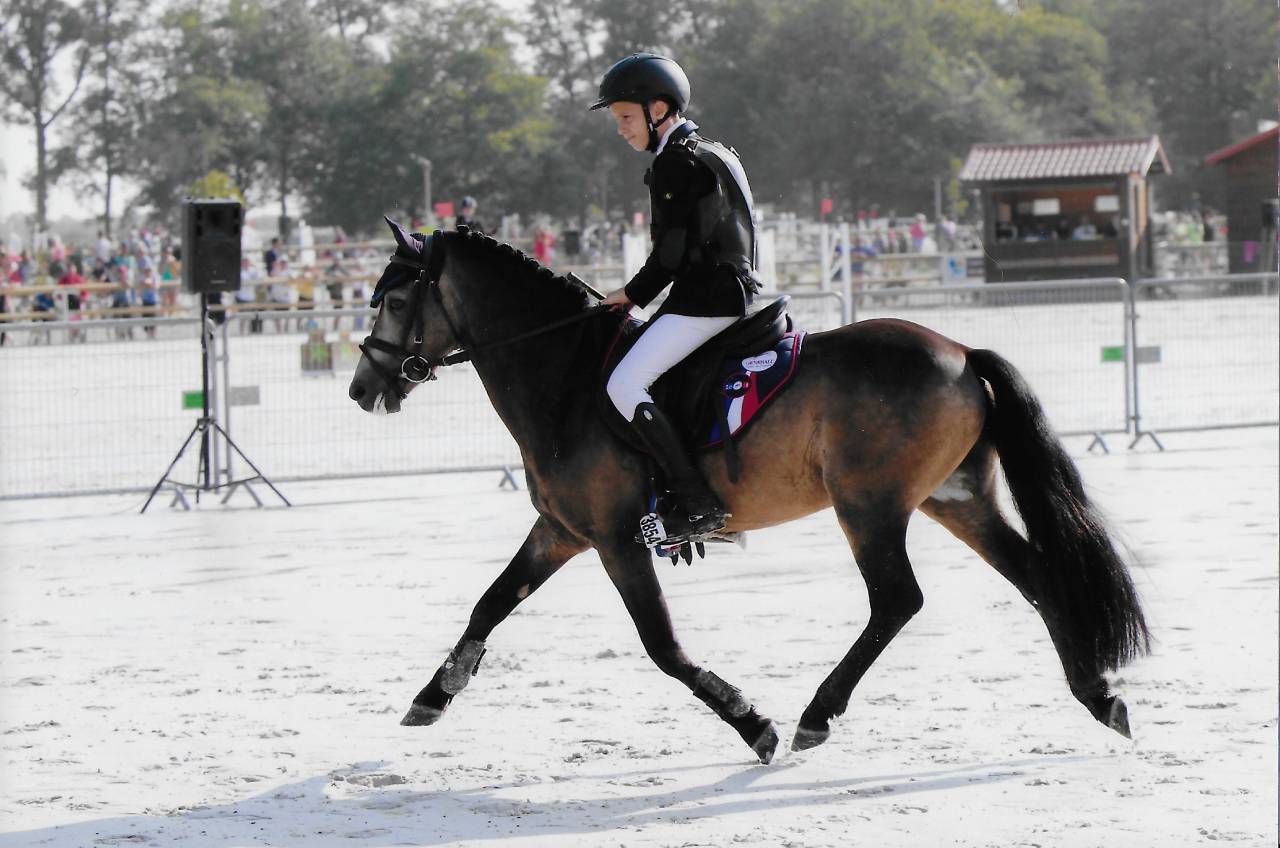 Utrillo d'Arquetan - Franse rijpony PFS 2008 ,  Gribouille Villaud