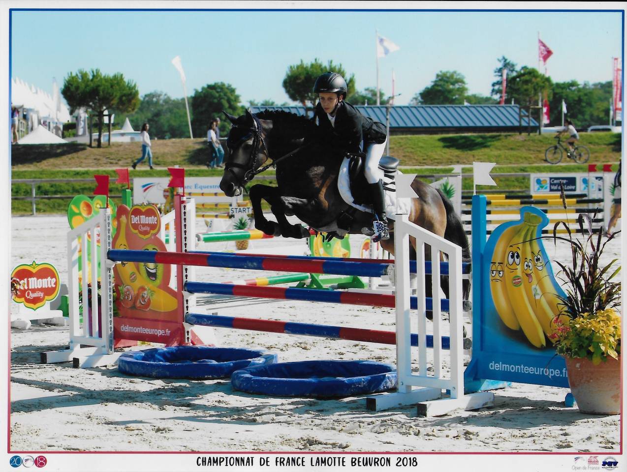 Utrillo d'Arquetan - Franse rijpony PFS 2008 ,  Gribouille Villaud