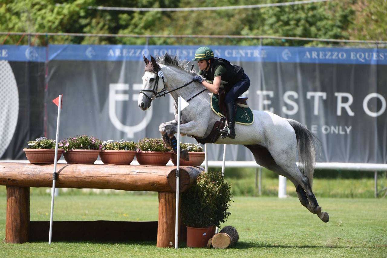 Ruin Iers sportpaard Te koop 2010 Schimmel