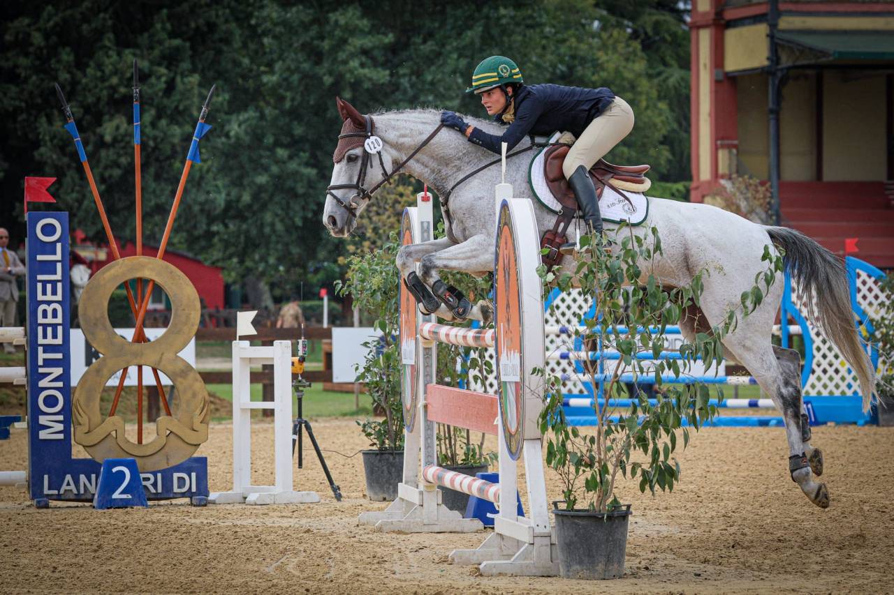 Ruin Iers sportpaard Te koop 2010 Schimmel